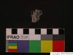 L_V23d8614 A16q805.2 U907 dM fg f286